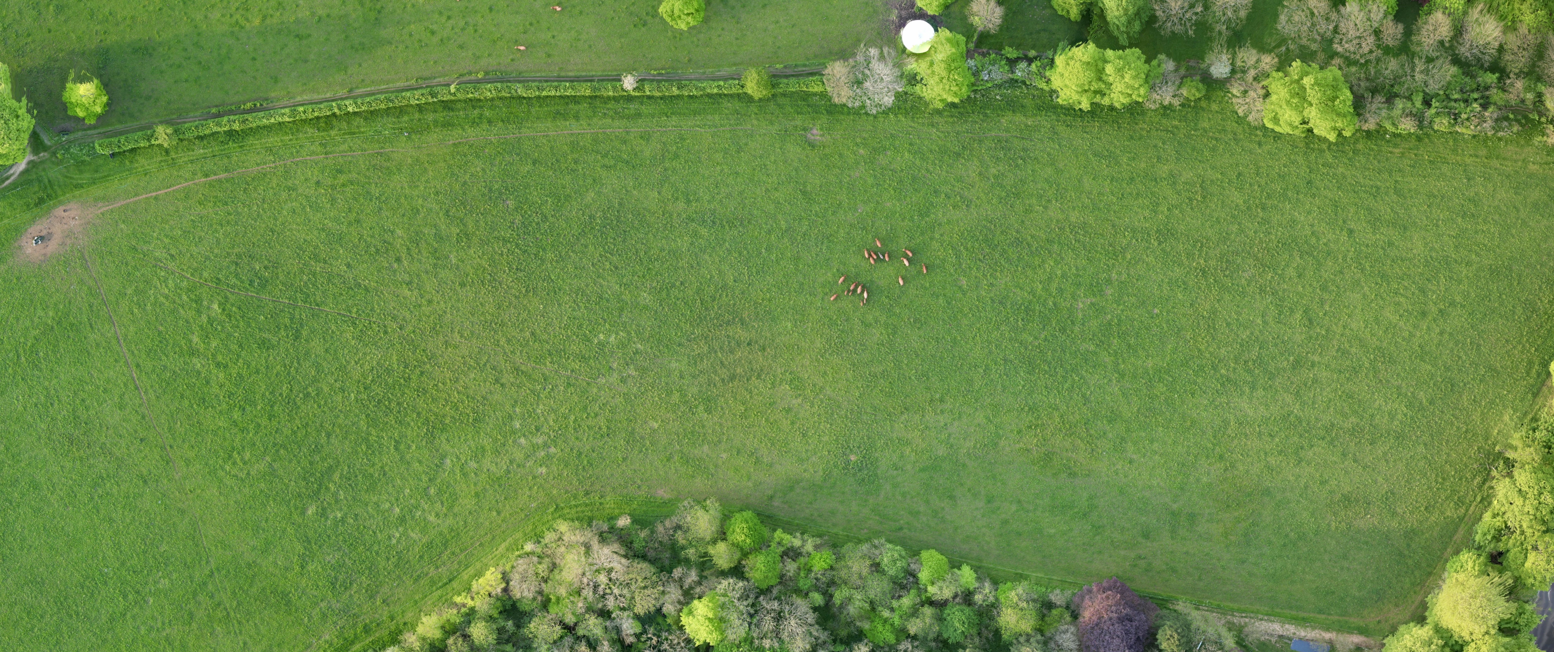 Aerial view of farmland